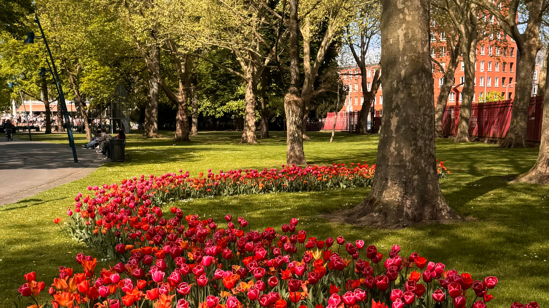 A Guide to Dublin’s 7 Best Parks and Green Spaces